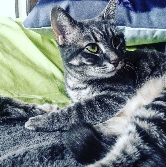 Meet your Posher at Salvage and Sage! - Picture 3 of 5